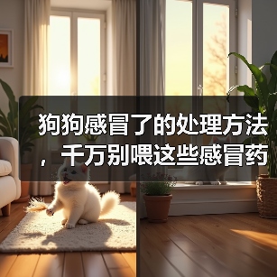 狗狗感冒了的处理方法,千万别喂这些感冒药!(图3) 狗狗感冒了的处理方法,千万别喂这些感冒药!(图3)