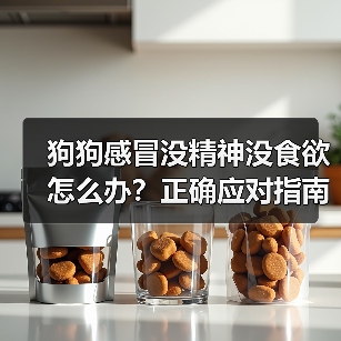 狗狗感冒没精神没食欲怎么办?正确应对指南(图4) 狗狗感冒没精神没食欲怎么办?正确应对指南(图4)