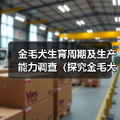 金毛犬生育周期及生产能力调查(探究金毛犬的生殖能力及生育间隔时间)(图4) 金毛犬生育周期及生产能力调查(探究金毛犬的生殖能力及生育间隔时间)(图4)
