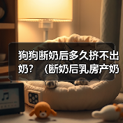 狗狗断奶后多久挤不出奶？（断奶后乳房产奶停止的时间和相关原因）（图1）