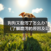 狗狗又腹泻了怎么办?(了解腹泻的原因及简单应对方法)(图1) 狗狗又腹泻了怎么办?(了解腹泻的原因及简单应对方法)(图1)