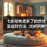 七彩幼鱼吃多了的症状及应对方法（如何判断七彩幼鱼吃多了？如何处理这种情况？）（图3）