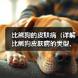 比熊狗的皮肤病(详解比熊狗皮肤病的类型、预防措施及护理要点)(图4) 比熊狗的皮肤病(详解比熊狗皮肤病的类型、预防措施及护理要点)(图4)