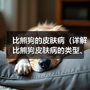比熊狗的皮肤病(详解比熊狗皮肤病的类型、预防措施及护理要点)(图1) 比熊狗的皮肤病(详解比熊狗皮肤病的类型、预防措施及护理要点)(图1)