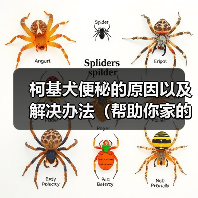 柯基犬便秘的原因以及解决办法(帮助你家的柯基犬摆脱便秘困扰)(图1) 柯基犬便秘的原因以及解决办法(帮助你家的柯基犬摆脱便秘困扰)(图1)