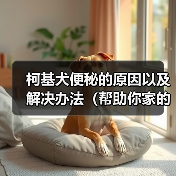柯基犬便秘的原因以及解决办法(帮助你家的柯基犬摆脱便秘困扰)(图3) 柯基犬便秘的原因以及解决办法(帮助你家的柯基犬摆脱便秘困扰)(图3)