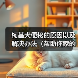 柯基犬便秘的原因以及解决办法(帮助你家的柯基犬摆脱便秘困扰)(图2) 柯基犬便秘的原因以及解决办法(帮助你家的柯基犬摆脱便秘困扰)(图2)