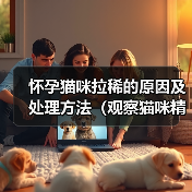 怀孕猫咪拉稀的原因及处理方法(观察猫咪精神状态,细心呵护怀孕宝贝)(图1) 怀孕猫咪拉稀的原因及处理方法(观察猫咪精神状态,细心呵护怀孕宝贝)(图1)