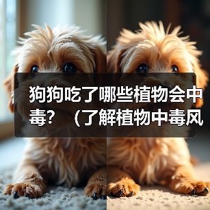 狗狗吃了哪些植物会中毒？（了解植物中毒风险，保护爱犬健康）（图4）