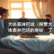 犬体表淋巴结（探索犬体表淋巴结的奥秘，了解其重要功能和常见疾病）（图1）