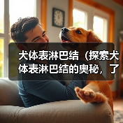 犬体表淋巴结（探索犬体表淋巴结的奥秘，了解其重要功能和常见疾病）（图2）