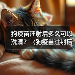 狗疫苗注射后多久可以洗澡？（狗疫苗注射后的洗澡时间安排及注意事项）（图3）