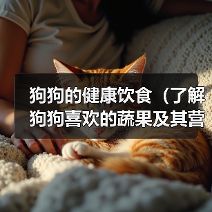 狗狗的健康饮食(了解狗狗喜欢的蔬果及其营养价值)(图4) 狗狗的健康饮食(了解狗狗喜欢的蔬果及其营养价值)(图4)