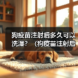 狗疫苗注射后多久可以洗澡？（狗疫苗注射后的洗澡时间安排及注意事项）（图4）