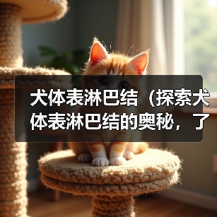 犬体表淋巴结（探索犬体表淋巴结的奥秘，了解其重要功能和常见疾病）（图3）