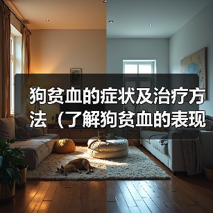 狗贫血的症状及治疗方法（了解狗贫血的表现，提早发现并采取措施）（图1）