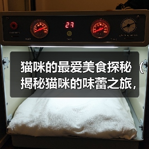 猫咪的最爱美食探秘（揭秘猫咪的味蕾之旅，这些食物能俘获它们的心（）（图3）