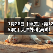 1月26日【重庆】(第125期)丨犬猫外科(高阶)班!含SUB(人人可实操)、乳糜胸等技术!(图4) 1月26日【重庆】(第125期)丨犬猫外科(高阶)班!含SUB(人人可实操)、乳糜胸等技术!(图4)