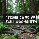 1月26日【重庆】(第125期)丨犬猫外科(高阶)班!含SUB(人人可实操)、乳糜胸等技术!(图1) 1月26日【重庆】(第125期)丨犬猫外科(高阶)班!含SUB(人人可实操)、乳糜胸等技术!(图1)