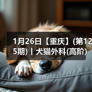 1月26日【重庆】(第125期)丨犬猫外科(高阶)班!含SUB(人人可实操)、乳糜胸等技术!(图3) 1月26日【重庆】(第125期)丨犬猫外科(高阶)班!含SUB(人人可实操)、乳糜胸等技术!(图3)