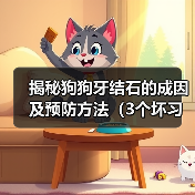 揭秘狗狗牙结石的成因及预防方法(3个坏习惯为牙结石的主要原因,如何有效预防?)(图3) 揭秘狗狗牙结石的成因及预防方法(3个坏习惯为牙结石的主要原因,如何有效预防?)(图3)