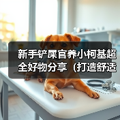 新手铲屎官养小柯基超全好物分享（打造舒适快乐的小柯基生活，新手铲屎官必备好物大揭秘！）（图4）