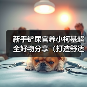 新手铲屎官养小柯基超全好物分享（打造舒适快乐的小柯基生活，新手铲屎官必备好物大揭秘！）（图2）