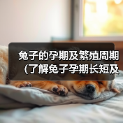 兔子的孕期及繁殖周期(了解兔子孕期长短及如何繁殖)(图2) 兔子的孕期及繁殖周期(了解兔子孕期长短及如何繁殖)(图2)
