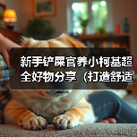 新手铲屎官养小柯基超全好物分享（打造舒适快乐的小柯基生活，新手铲屎官必备好物大揭秘！）