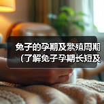 兔子的孕期及繁殖周期(了解兔子孕期长短及如何繁殖)(图1) 兔子的孕期及繁殖周期(了解兔子孕期长短及如何繁殖)(图1)