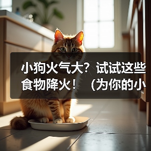 小狗火气大?试试这些食物降火!(为你的小狗选择适合的食物,舒缓体内火气的秘诀)(图2) 小狗火气大?试试这些食物降火!(为你的小狗选择适合的食物,舒缓体内火气的秘诀)(图2)