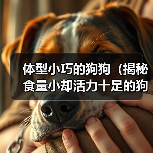 体型小巧的狗狗(揭秘食量小却活力十足的狗狗品种)(图4) 体型小巧的狗狗(揭秘食量小却活力十足的狗狗品种)(图4)