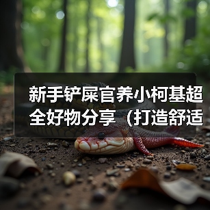 新手铲屎官养小柯基超全好物分享（打造舒适快乐的小柯基生活，新手铲屎官必备好物大揭秘！）（图3）