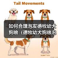 如何合理泡发德牧幼犬狗粮（德牧幼犬狗粮泡发的时间与方法）（图2）