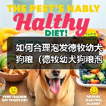 如何合理泡发德牧幼犬狗粮（德牧幼犬狗粮泡发的时间与方法）（图3）