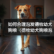 如何合理泡发德牧幼犬狗粮（德牧幼犬狗粮泡发的时间与方法）（图1）