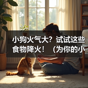 小狗火气大?试试这些食物降火!(为你的小狗选择适合的食物,舒缓体内火气的秘诀)(图4) 小狗火气大?试试这些食物降火!(为你的小狗选择适合的食物,舒缓体内火气的秘诀)(图4)