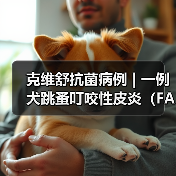 克维舒抗菌病例 | 一例犬跳蚤叮咬性皮炎(FAD)的病例分析(图4) 克维舒抗菌病例 | 一例犬跳蚤叮咬性皮炎(FAD)的病例分析(图4)