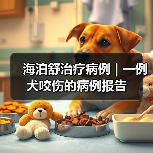 海泊舒治疗病例 | 一例犬咬伤的病例报告(图2) 海泊舒治疗病例 | 一例犬咬伤的病例报告(图2)