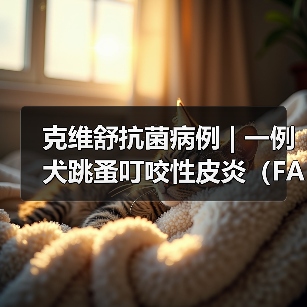 克维舒抗菌病例 | 一例犬跳蚤叮咬性皮炎(FAD)的病例分析(图1) 克维舒抗菌病例 | 一例犬跳蚤叮咬性皮炎(FAD)的病例分析(图1)