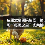 瑞辰宠物医院集团 | 第3周“每周之星”光荣榜（图4）