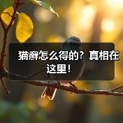 猫癣怎么得的？真相在这里！（图4）