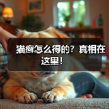 猫癣怎么得的？真相在这里！（图3）