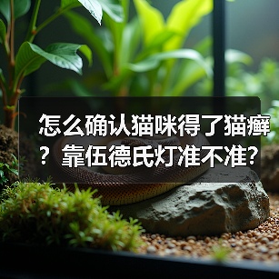 怎么确认猫咪得了猫癣？靠伍德氏灯准不准？（图3）