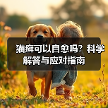 猫癣可以自愈吗?科学解答与应对指南(图2) 猫癣可以自愈吗?科学解答与应对指南(图2)