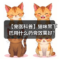 【宠医科普】猫咪黑下巴用什么药膏效果好?(图3) 【宠医科普】猫咪黑下巴用什么药膏效果好?(图3)
