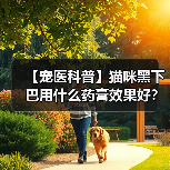 【宠医科普】猫咪黑下巴用什么药膏效果好?(图4) 【宠医科普】猫咪黑下巴用什么药膏效果好?(图4)