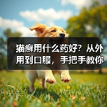 猫癣用什么药好？从外用到口服，手把手教你选对药！（图3）
