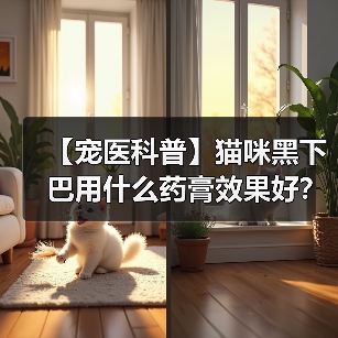【宠医科普】猫咪黑下巴用什么药膏效果好?(图2) 【宠医科普】猫咪黑下巴用什么药膏效果好?(图2)