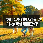 为什么狗狗总掉毛？这5种疾病信号要警惕！（图3）